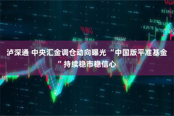 泸深通 中央汇金调仓动向曝光 “中国版平准基金”持续稳市稳信心