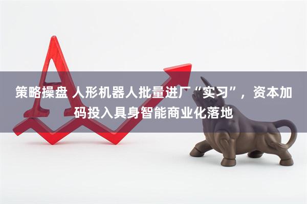 策略操盘 人形机器人批量进厂“实习”，资本加码投入具身智能商业化落地