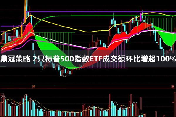 鼎冠策略 2只标普500指数ETF成交额环比增超100%