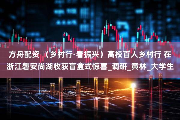 方舟配资 （乡村行·看振兴）高校百人乡村行 在浙江磐安尚湖收获盲盒式惊喜_调研_黄林_大学生
