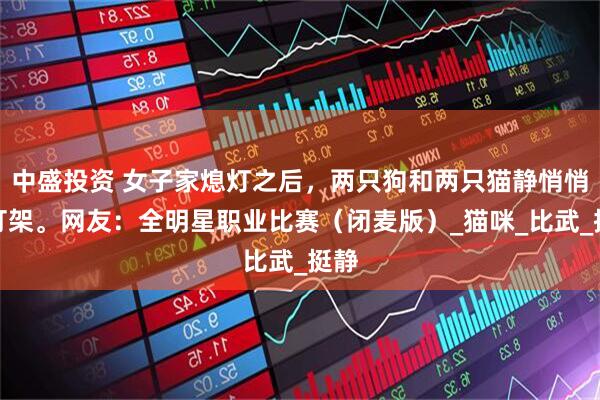 中盛投资 女子家熄灯之后，两只狗和两只猫静悄悄地打架。网友：全明星职业比赛（闭麦版）_猫咪_比武_挺静