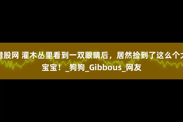 猎股网 灌木丛里看到一双眼睛后，居然捡到了这么个大宝宝！_狗狗_Gibbous_网友