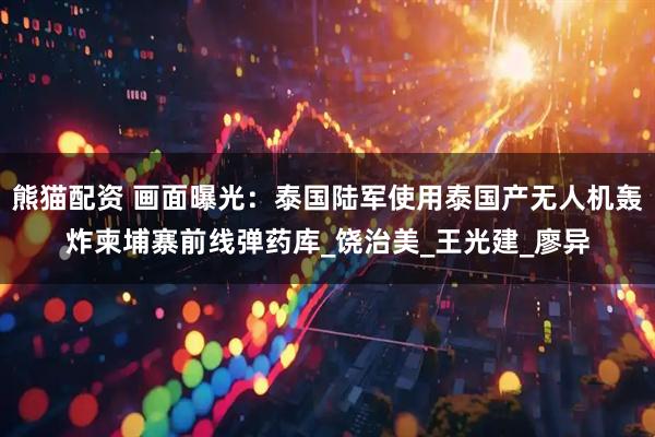 熊猫配资 画面曝光：泰国陆军使用泰国产无人机轰炸柬埔寨前线弹药库_饶治美_王光建_廖异