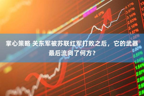 掌心策略 关东军被苏联红军打败之后，它的武器最后流向了何方？
